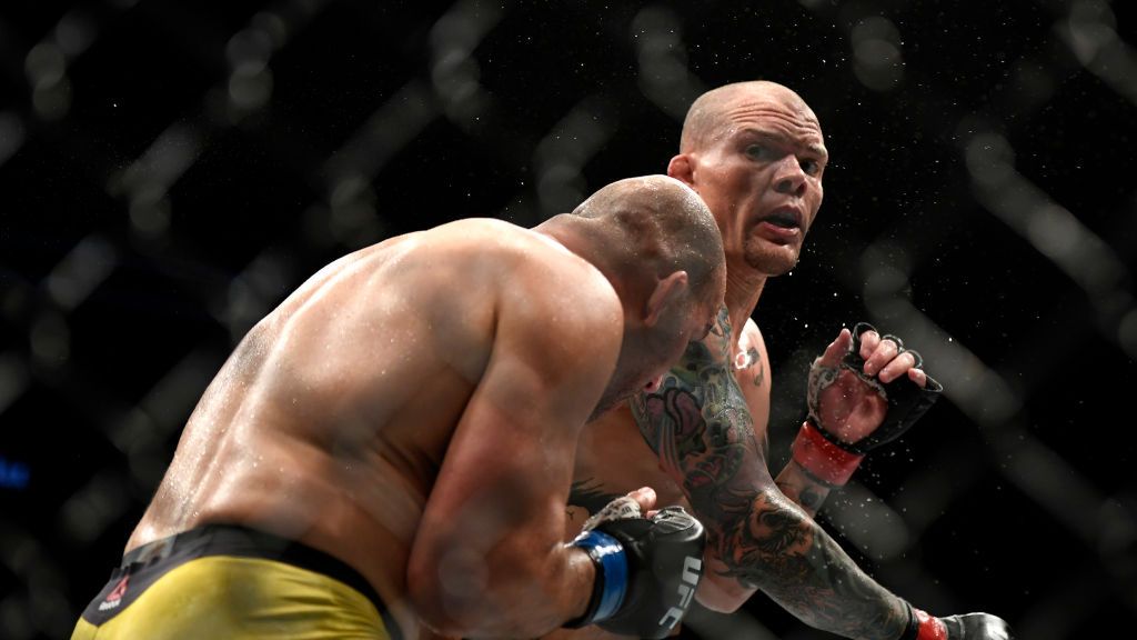 Getty Images /  Douglas P. DeFelice / Na zdjęciu: walka Teixeira vs Smith
