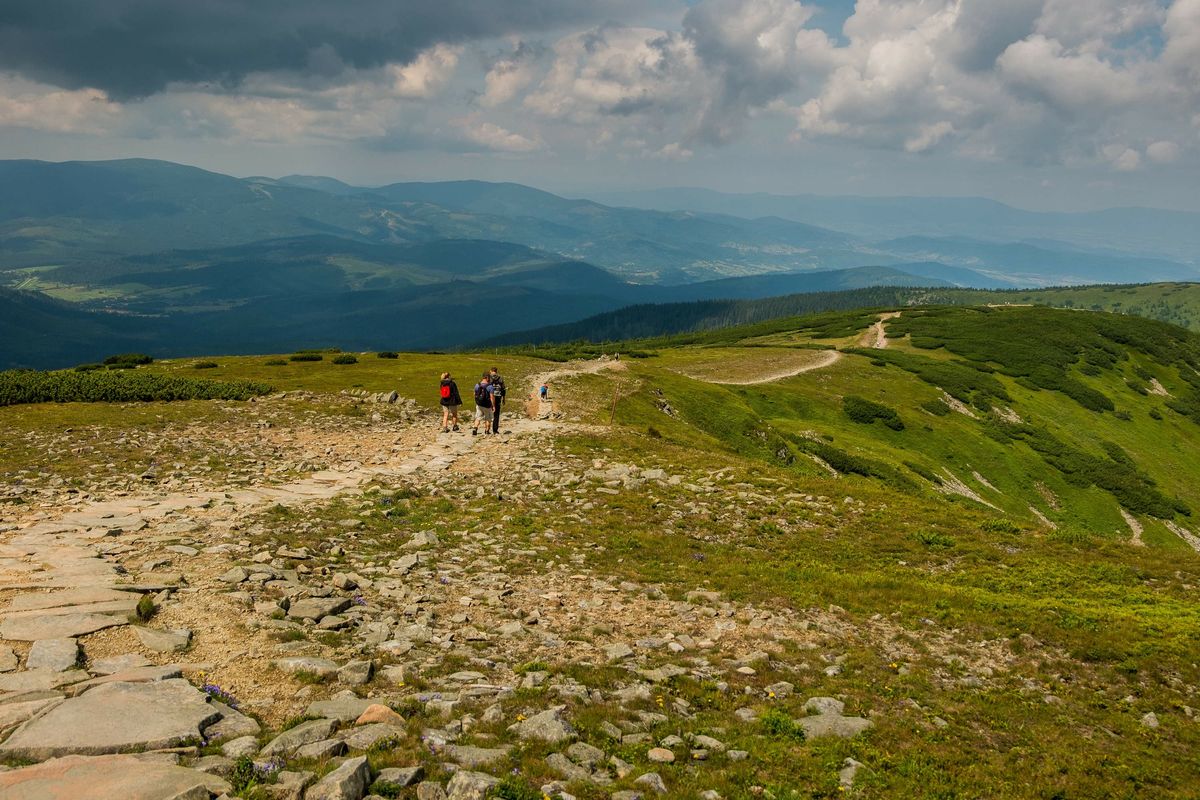 Przyrodnicy zaapelowali do turystów