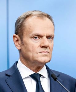 Kacprzak: "Donald Tusk zszedł niżej i wrócił do tego, co lubi najbardziej" [OPINIA]