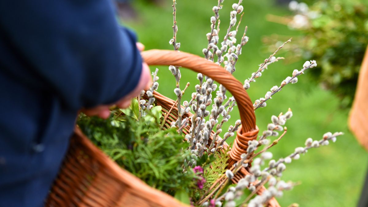 Ten zwyczaj Niedzieli Palmowej jest już zapomniany 