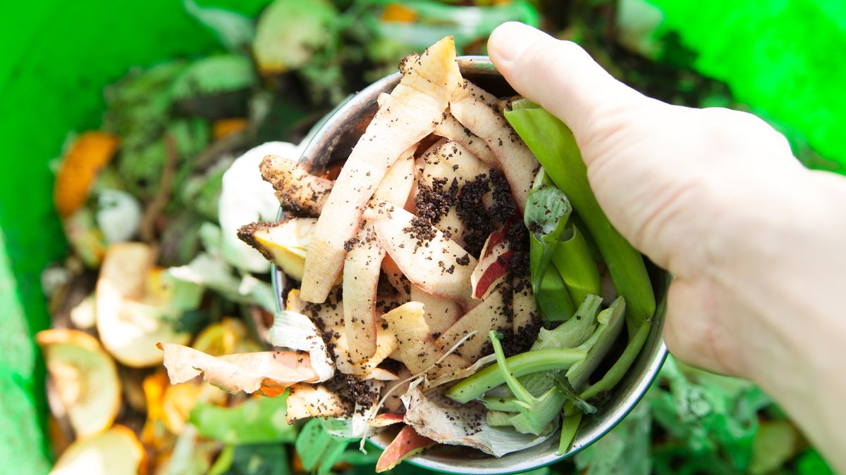 Co można wrzucać do kompostownika?