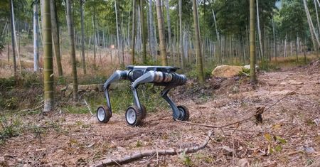 Uzbrojone psy-roboty. To już nie scenariusz filmu