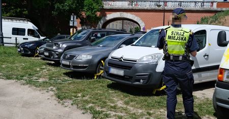 Kierowcy zamienili trawnik w parking obok Zamku. Strażnicy założyli blokady na 6 aut [ZDJĘCIA]