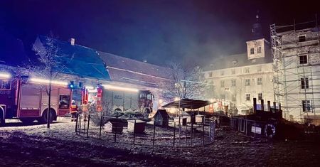 Dziwiszów. Pożar pałacyku ze zwierzętami. Dla DIOZ to przeklęte miejsce