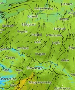 Koniec zimy? Jest najnowsza prognoza