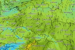 Koniec zimy? Jest najnowsza prognoza