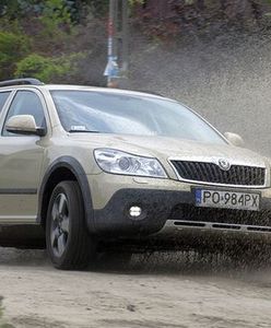 Skoda Octavia II Scout 2,0 TDI: wielozadaniowa Czeszka
