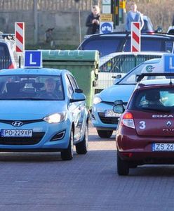 Liczba chętnych na zdobycie prawa jazdy wzrosła o 30 proc.