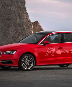 Audi A3 Sportback e-tron z pięcioma gwiazdkami Euro NCAP