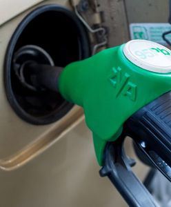 UOKiK: jakość paliw od 18 stycznia do 30 września