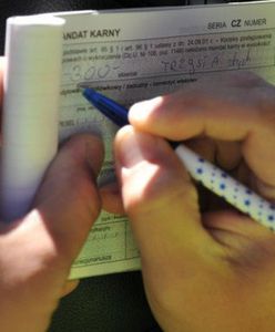 CEPiK 2.0 dopiero za dwa lata