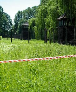 Opolskie. Upamiętniono ofiary hitlerowskiego "marszu śmierci"