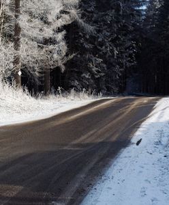 Jak radzić sobie z intensywnymi opadami śniegu