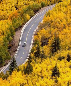 Mimo braku rowerzystów i motocyklistów kierowcom nie będzie lepiej