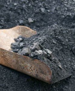 Węgiel nie straci dominacji w energetyce, choć jego udział spadnie