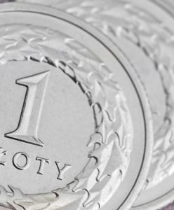 Nuda na rynku walutowym