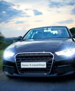 Nowa linia ksenonów od Philipsa