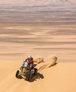 Łaskawiec gotowy do Dakaru