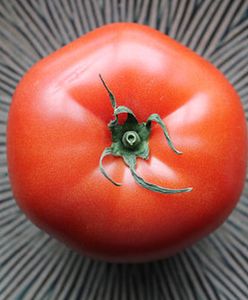Ostatni taki pomidor – o żywności GMO