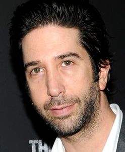 David Schwimmer wdzięczny za "Przyjaciół"