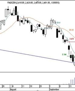 Niepewności ciąg dalszy?