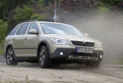 Skoda Octavia II Scout 2,0 TDI: wielozadaniowa Czeszka