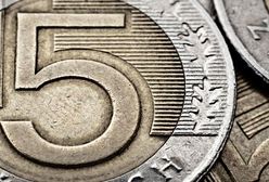 Korekta notowań polskiej waluty