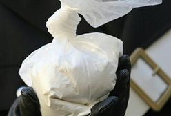 20 lat za przemyt kokainy