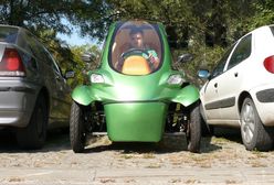 Bombus: polska recepta na miejską dżunglę