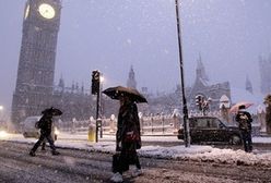 Śnieżyca sparaliżowała ruch