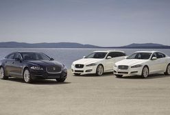 Jaguary wydajniejsze i bardziej ekonomiczne