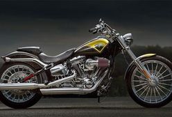 Harley-Davidson: nowe modele na 110-lecie marki