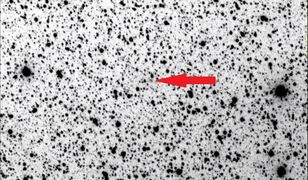 Odkrywcy "polskiej" komety: kolejne takie odkrycie to tylko kwestia czasu