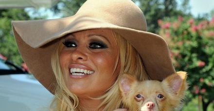 Pamela Anderson nie da się już pokroić