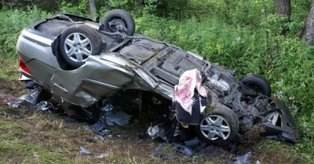 Zabijają trzy osoby dziennie, najczęściej w sierpniu