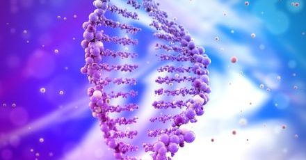 O czym może nam powiedzieć badanie DNA?