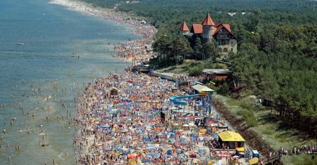 Łeba: wycinka drzew trafiła do prokuratury