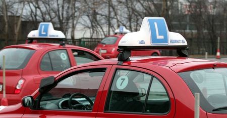 Zielony listek wraca na szyby młodych kierowców