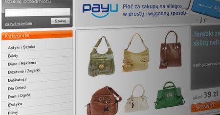 Zakupy na raty w internecie - co i za ile kupują użytkownicy Allegro?