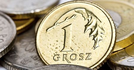 Polska waluta pozostała stabilna