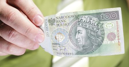 Odczyt WWK bez większego wpływu na złotego