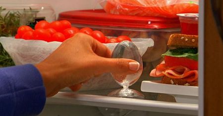 Freshy - przedłuży świeżość produktów spożywczych w starych lodówkach