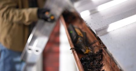 iRobot Looj 330 - robot, który przeczyści ci rynnę