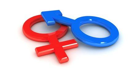Bitwa o gender