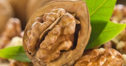 Orzechy włoskie zapobiegają rozwojowi choroby Alzheimera