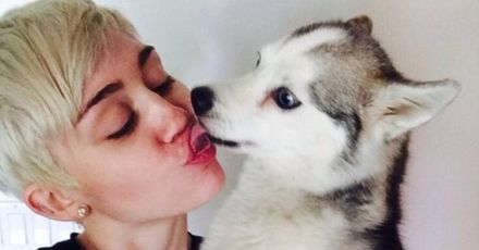 Niepocieszona Miley Cyrus