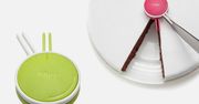 Cake Divider: gadżet, który pomoże pokroić tort na równe kawałki