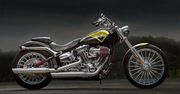 Harley-Davidson: nowe modele na 110-lecie marki