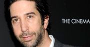 David Schwimmer wdzięczny za "Przyjaciół"