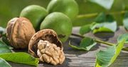 Cudowne orzechy